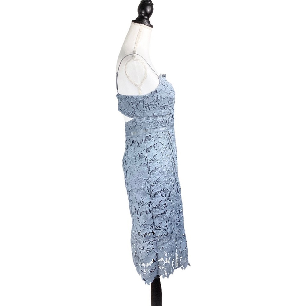 Bardot Botanical Lace Dress in Dusty Blue - Picture 3 of 15